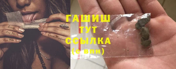 хмурый Абаза
