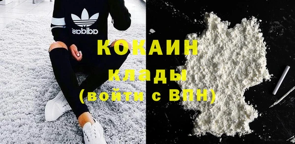 стафф Алексин