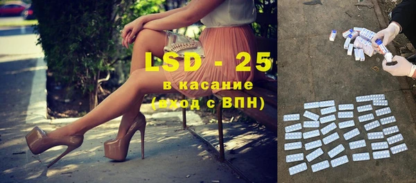 хмурый Абаза