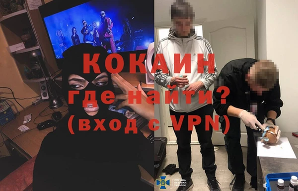 стафф Алексин