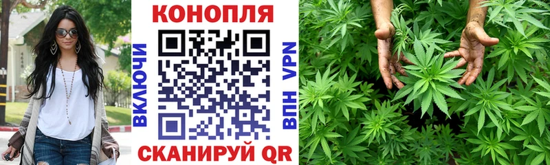Марихуана Amnesia  хочу   Ачхой-Мартан 